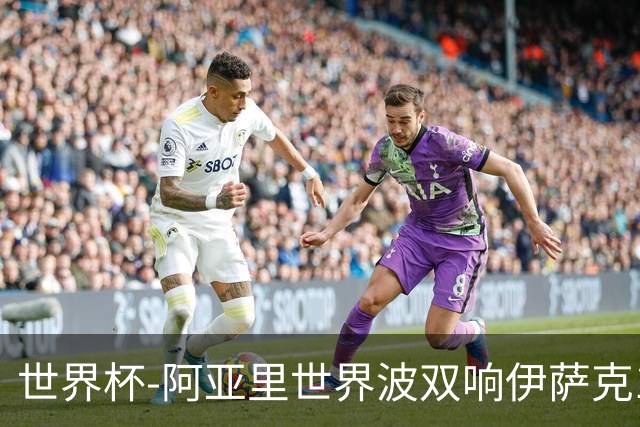 世界杯-阿亚里世界波双响伊萨克1射2传 瑞典5-1突尼斯